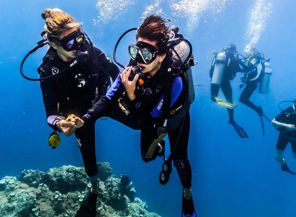 Micronesian Divers Association 3