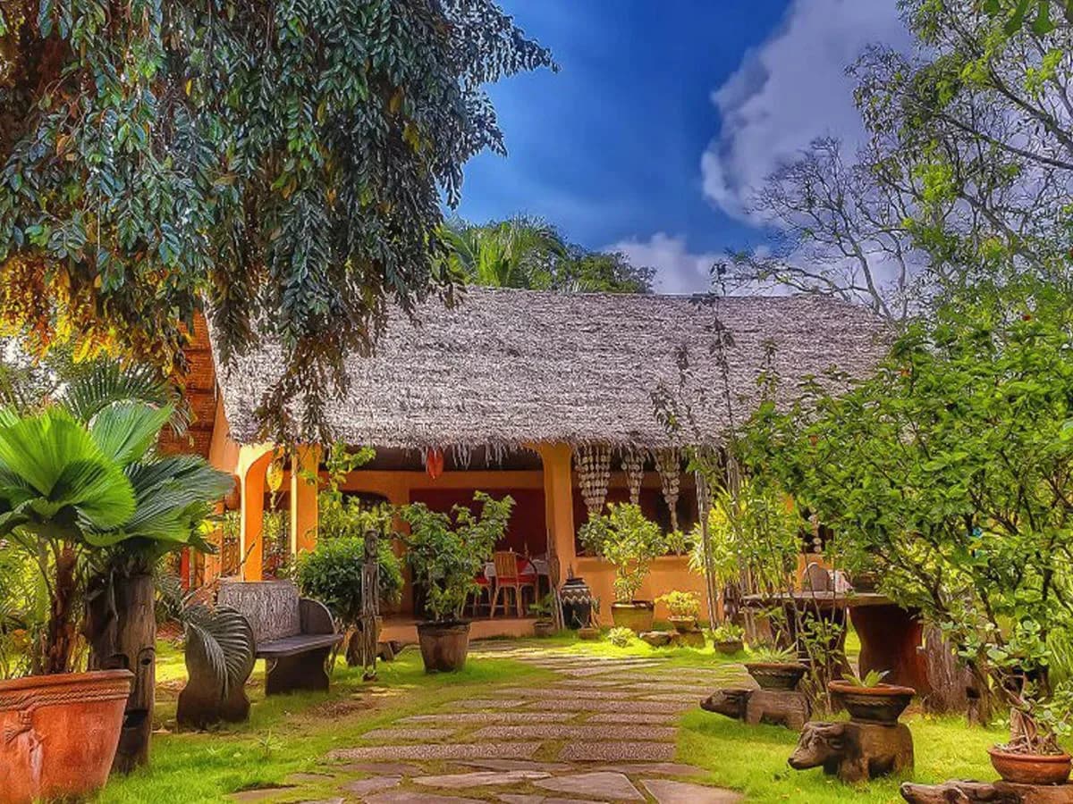 Hibiscus Restaurant & Bar 2
