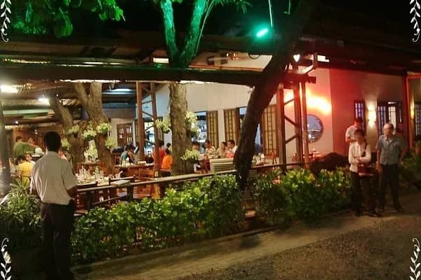 Golden Cowrie (Salinas Drive) 4