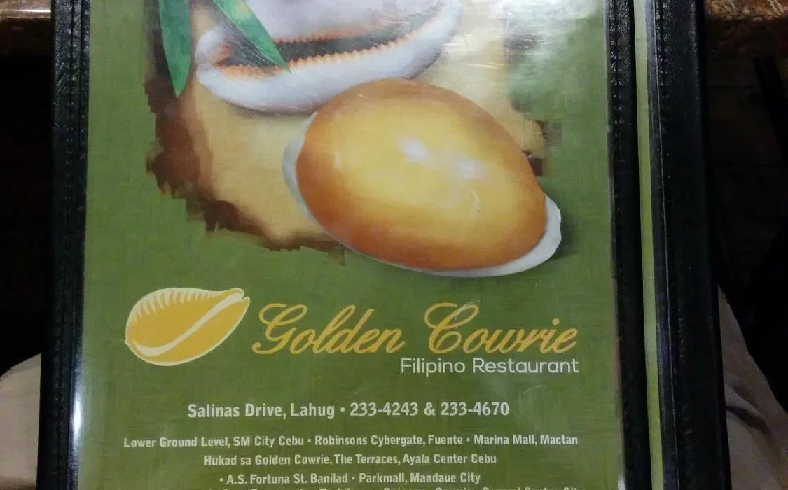 Golden Cowrie (Salinas Drive) 3
