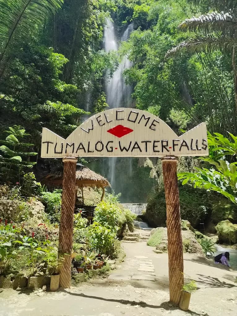 Tumalog Falls 2