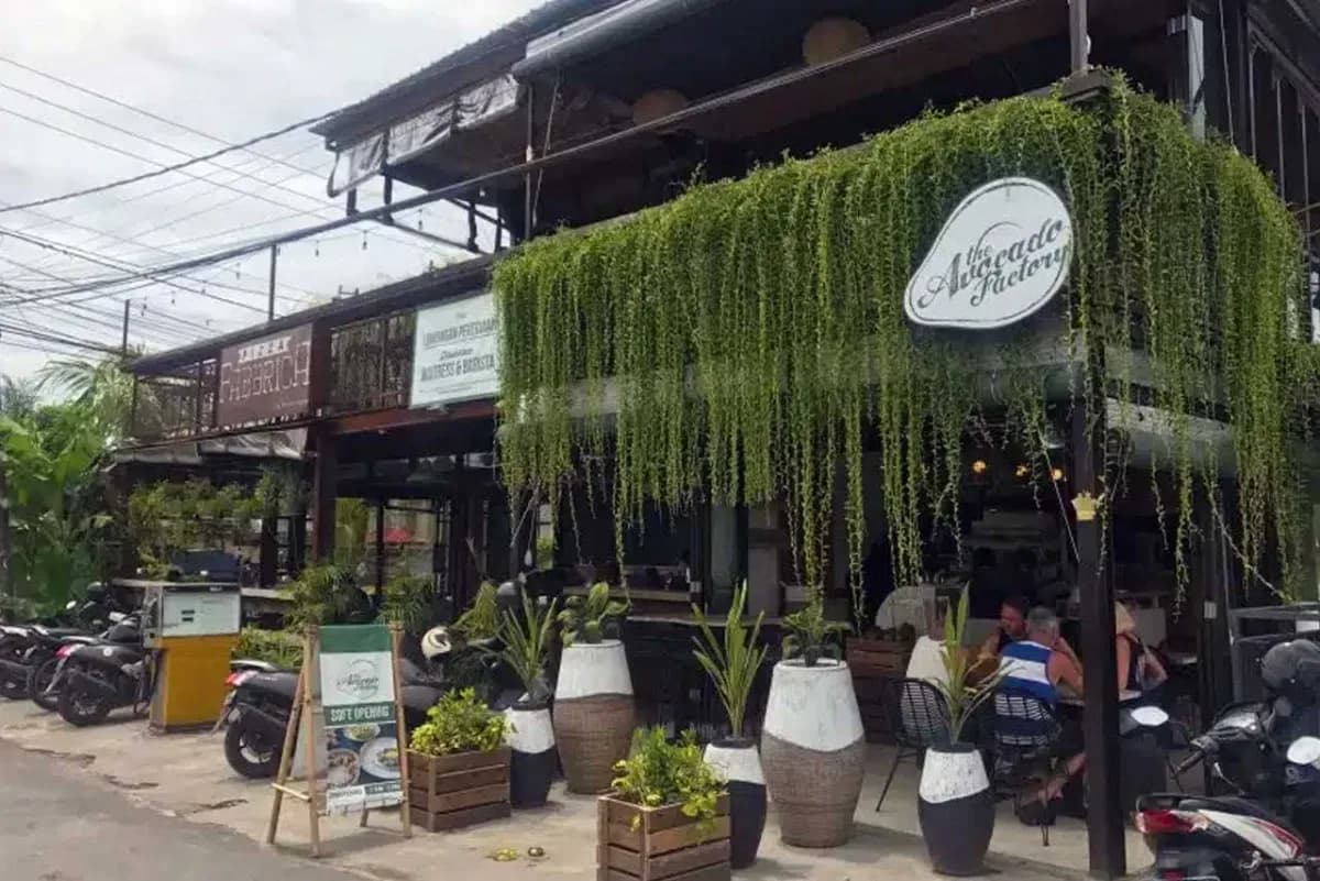 The Avocado Factory 2