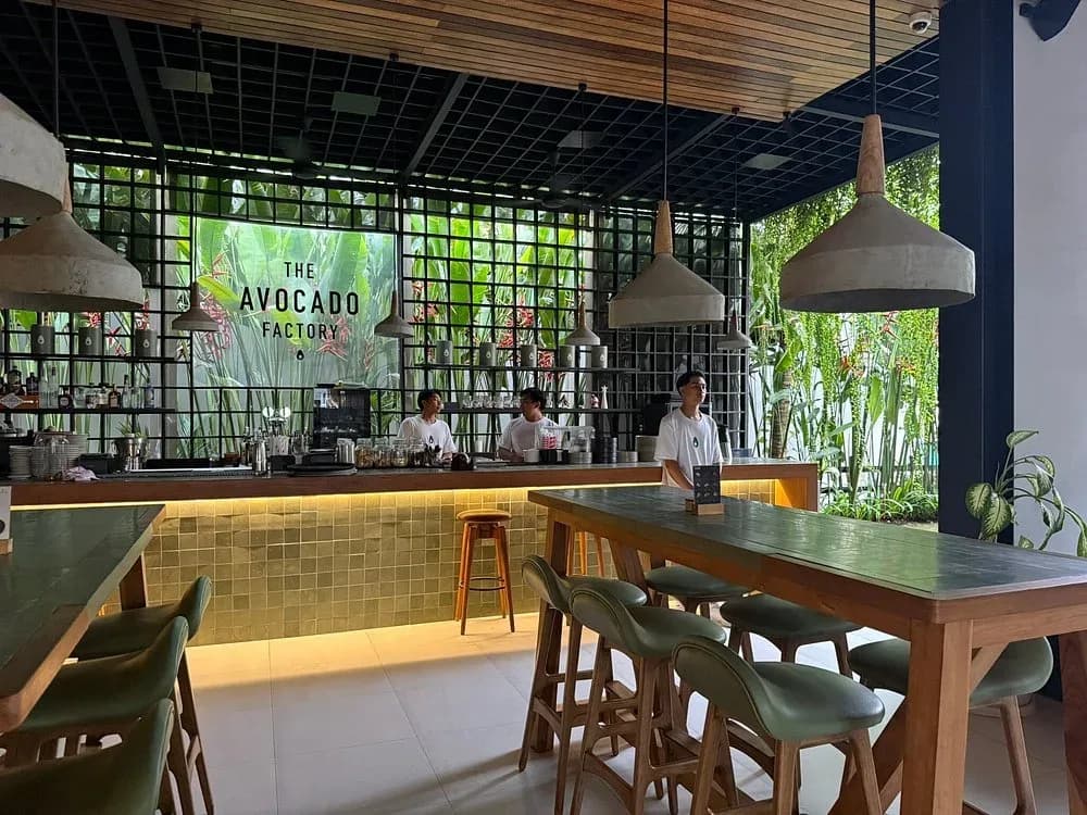 The Avocado Factory 3