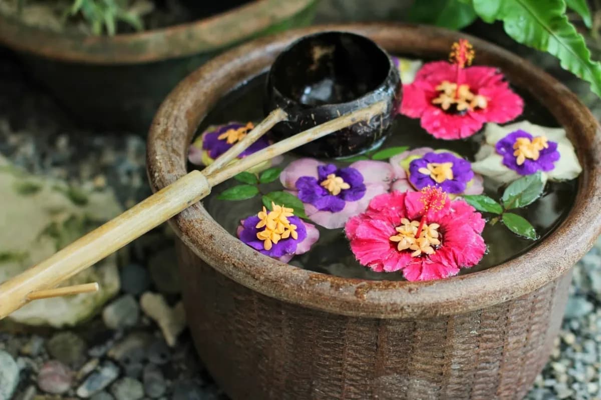 Bella Isa Salon & Spa 2