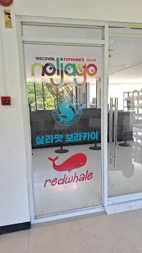 Red Whale Boracay Party Yacht 2