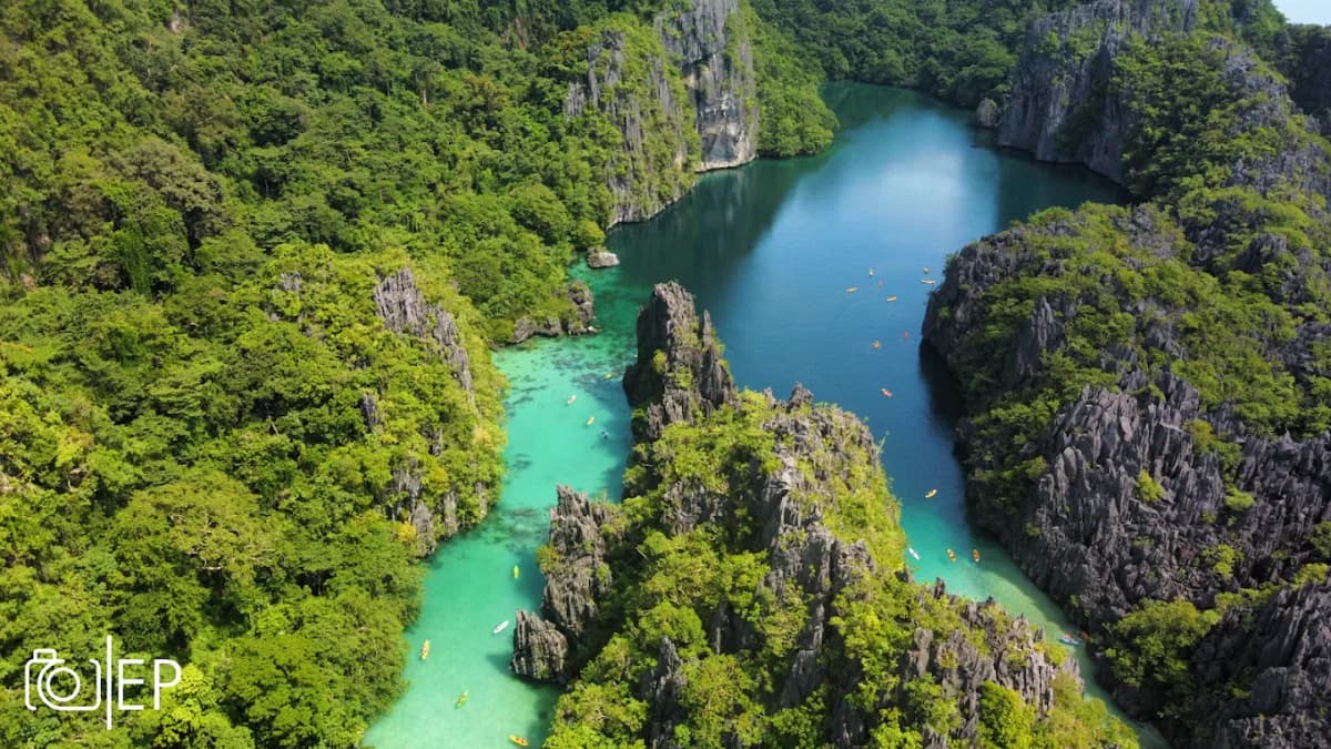 Rosanna’s Pension 4