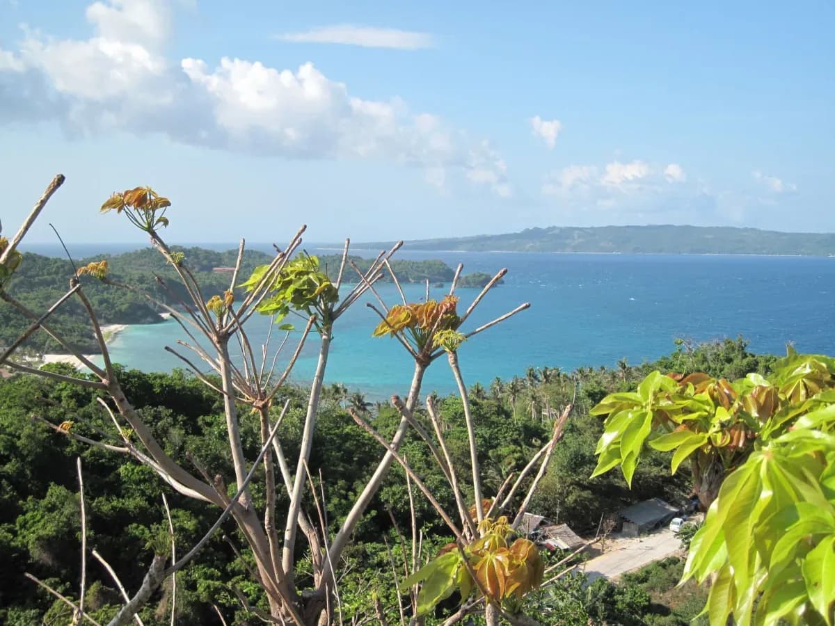 Mount Luho