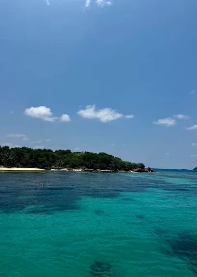 RED RIVER TOURS - Tours & Activities - Duong To