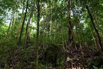Phu Quoc National Park - Tours & Activities - Cua Can