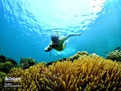 Onbird Phu Quoc - Tours & Activities - Cửa Lấp