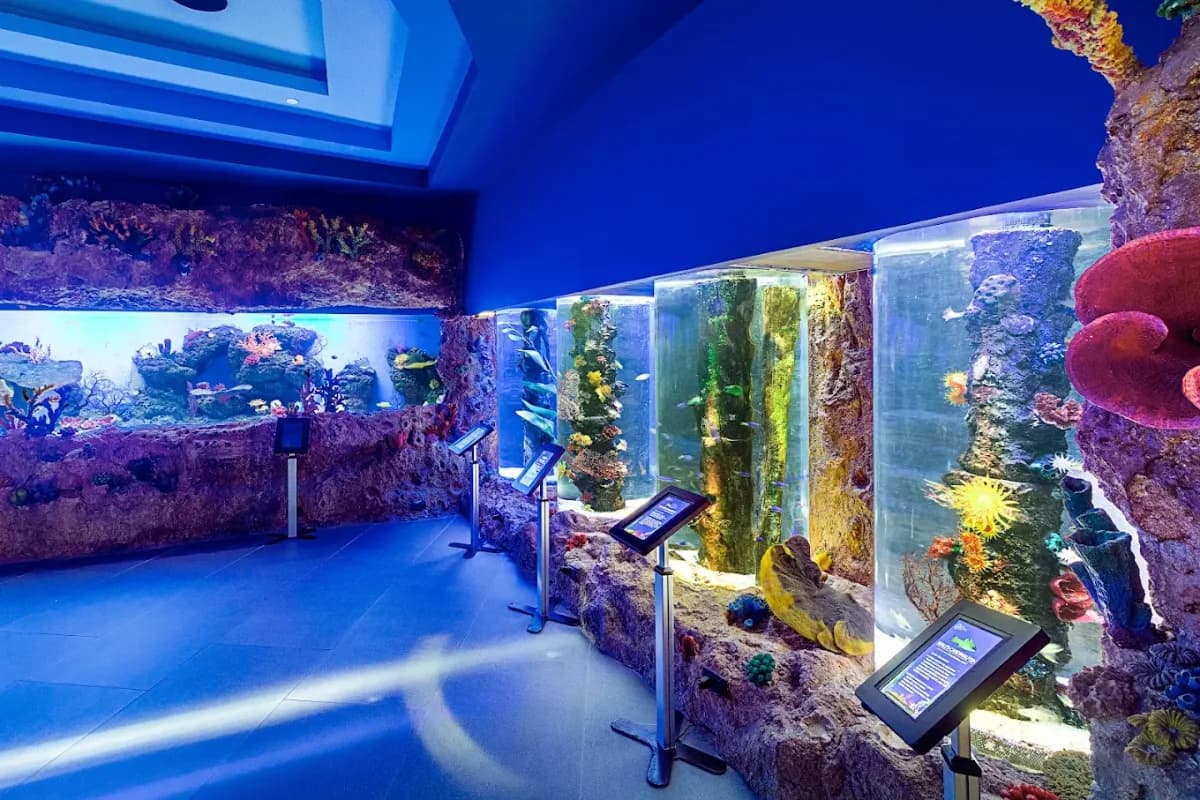 Cebu Ocean Park 5