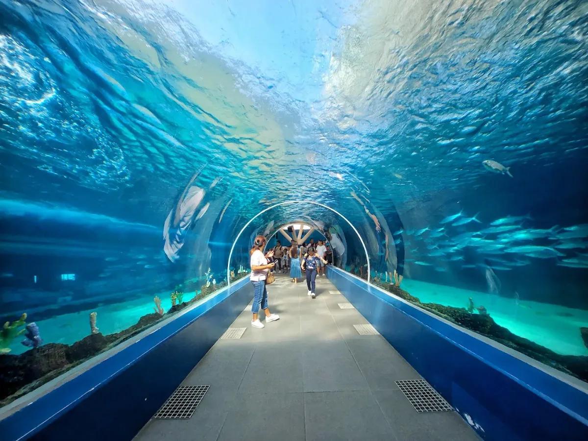 Cebu Ocean Park