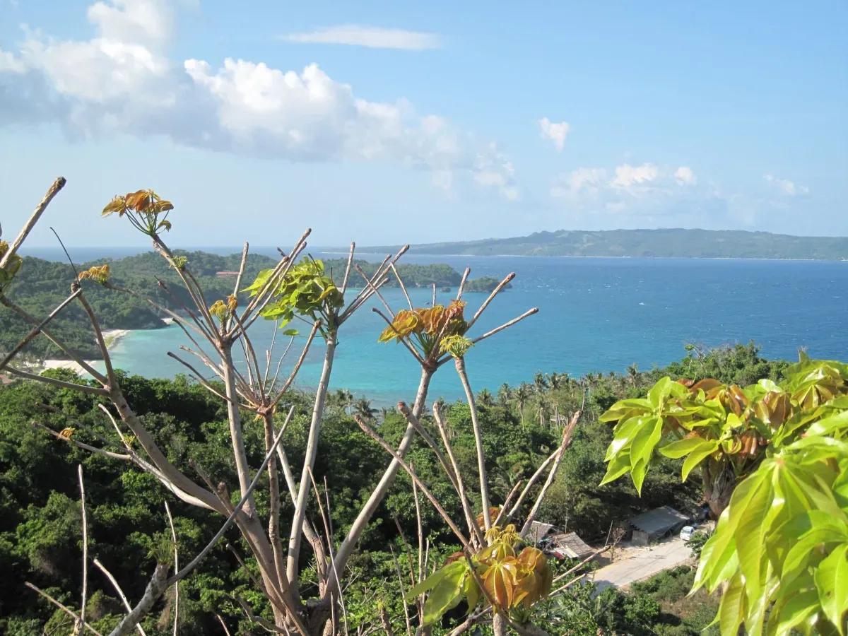 Mount Luho