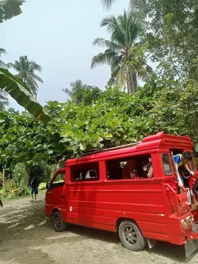 Camotes Island Tours and Services
