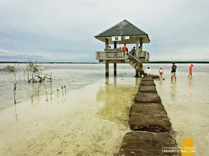 Olango Island Wildlife Sanctuary